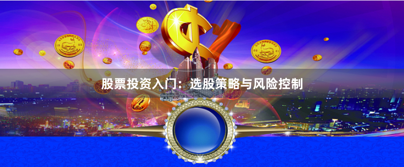 股票投资入门：选股策略与风险控制